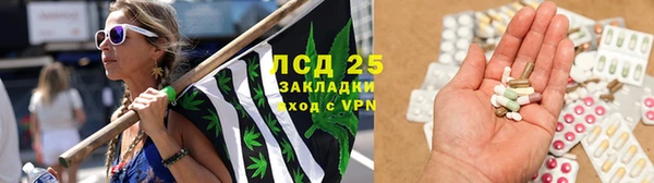 PSILOCYBIN Белоозёрский
