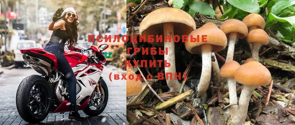 метамфетамин Белокуриха