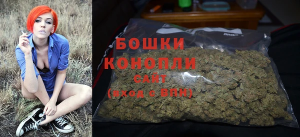 PSILOCYBIN Белоозёрский