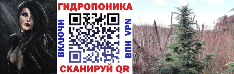 Бошки Шишки ГИДРОПОН Воткинск